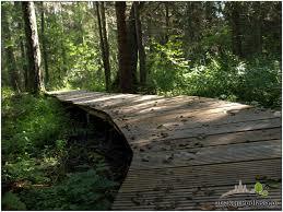 Rezerwat przyrody Krzemianka